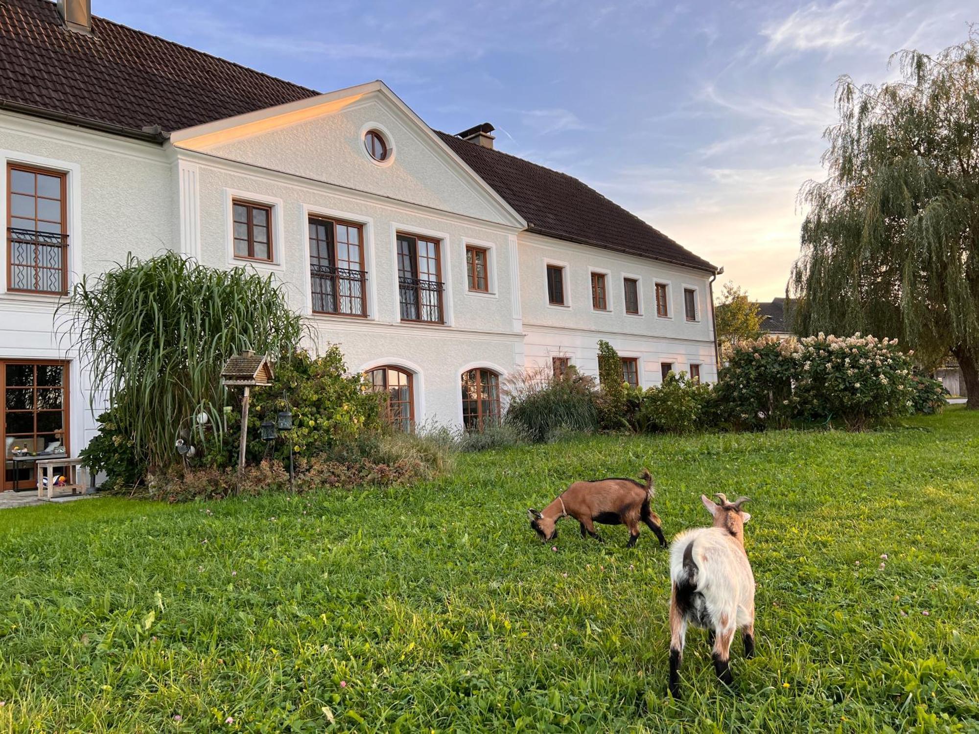 Apartament Landhaus Aigner Allhartsberg Zewnętrze zdjęcie